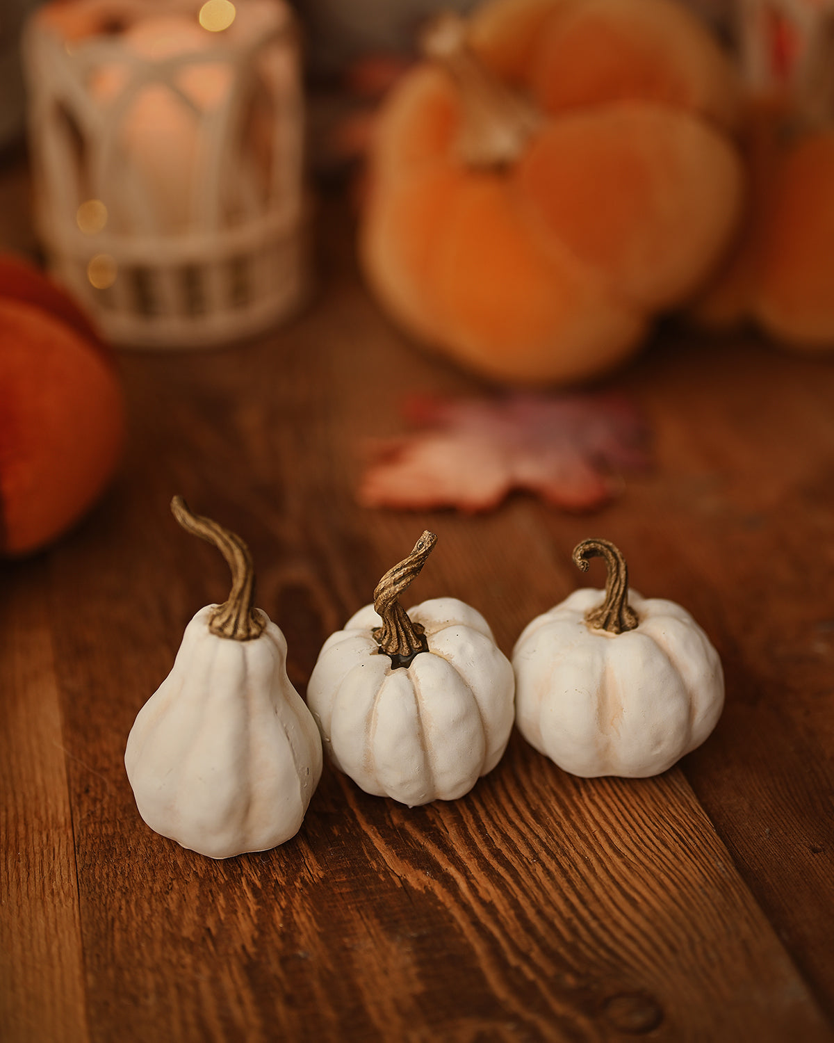 Calabazas Blancas Minis