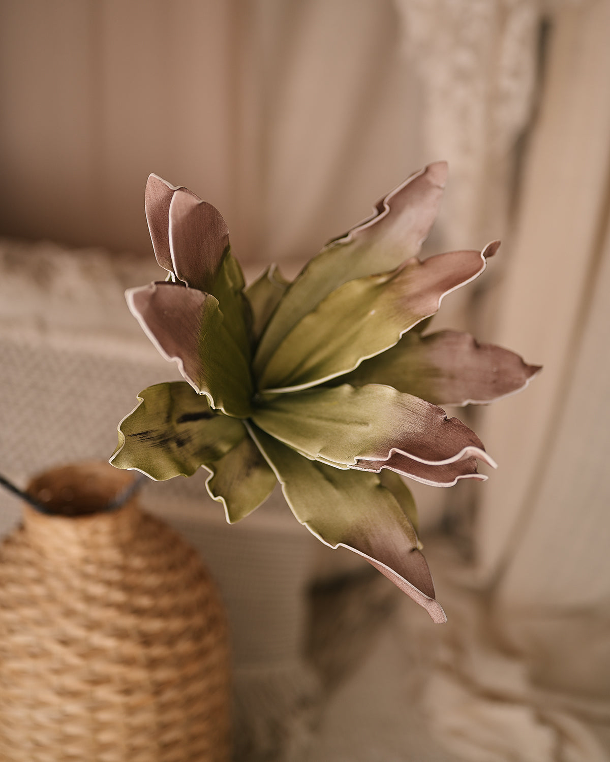 Flor de Aloe Vera Rosada - Planta Realista