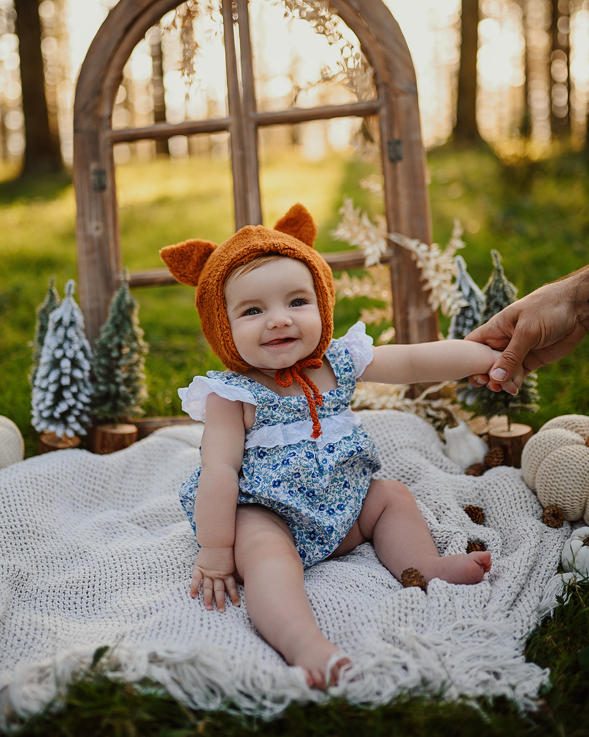 Gorrito Zorrito