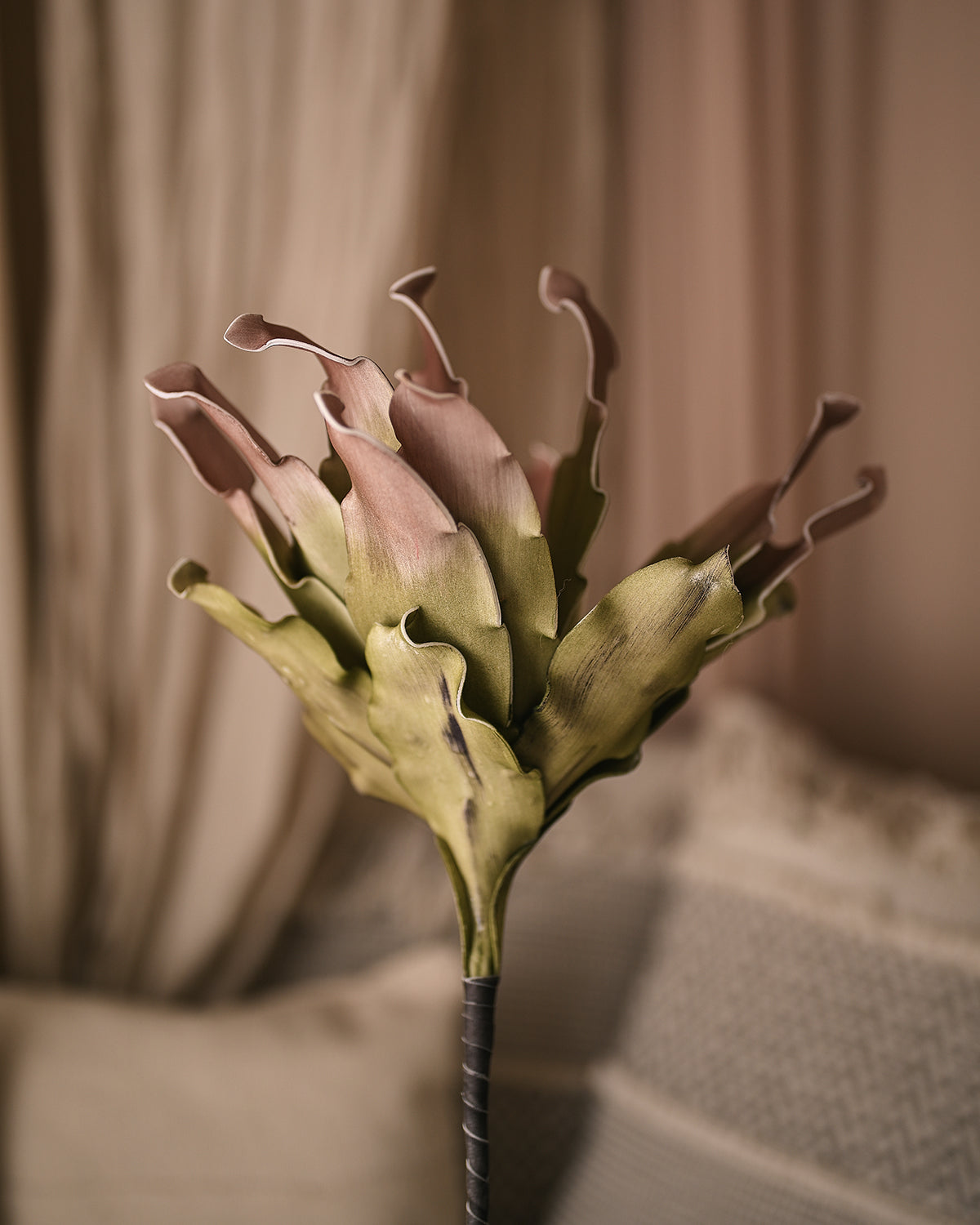 Flor de Aloe Vera Rosada - Planta Realista