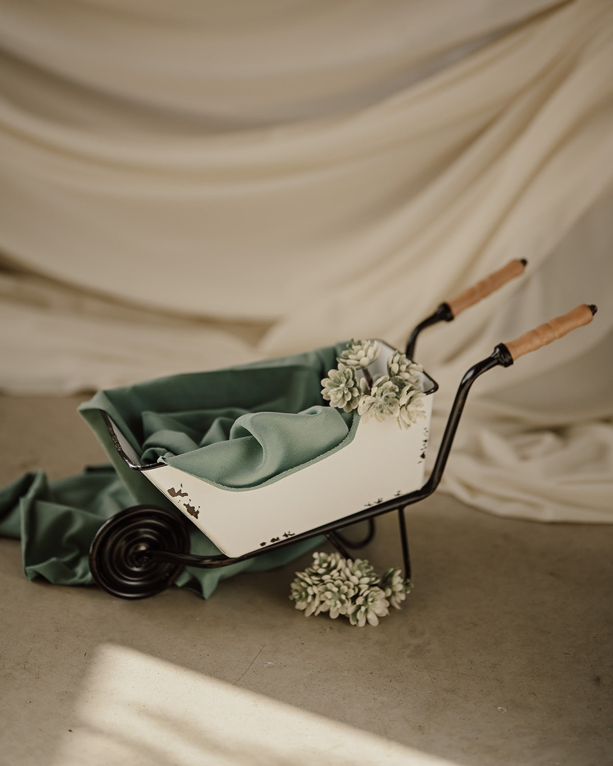 Set Carretilla Spring + plantas mini + tela verde